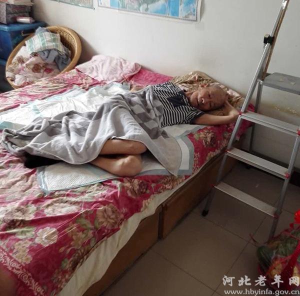 河北老年网