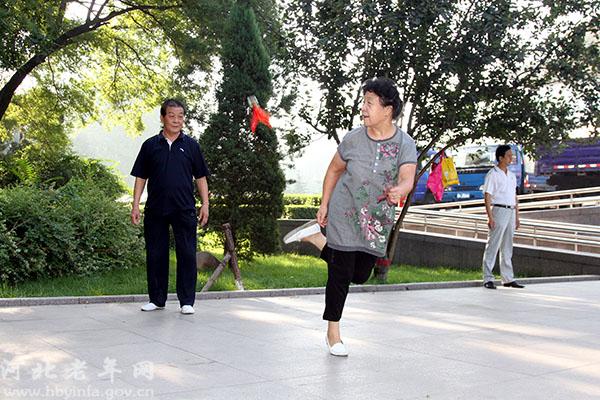 河北老年网